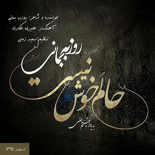 Halam Khosh Nist - Roozbeh Bemani